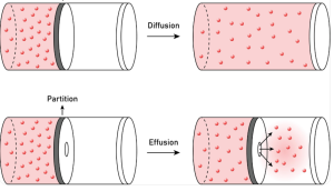 Maxwell distribution of speeds