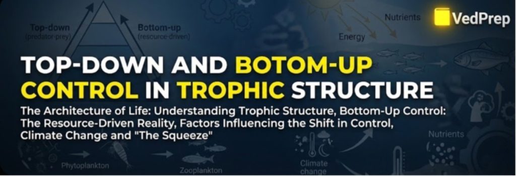 Top Down and Bottom Up Control